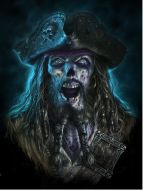 3D Picture Captain Grimbeard - (Earn 0 reward points on this item worth $0.00)