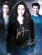 Twilight 11x14 - (Earn 25 reward points on this item worth $6.25)